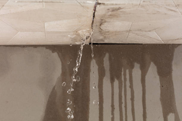 Professional Structural Drying technician working in Elkhart, TX